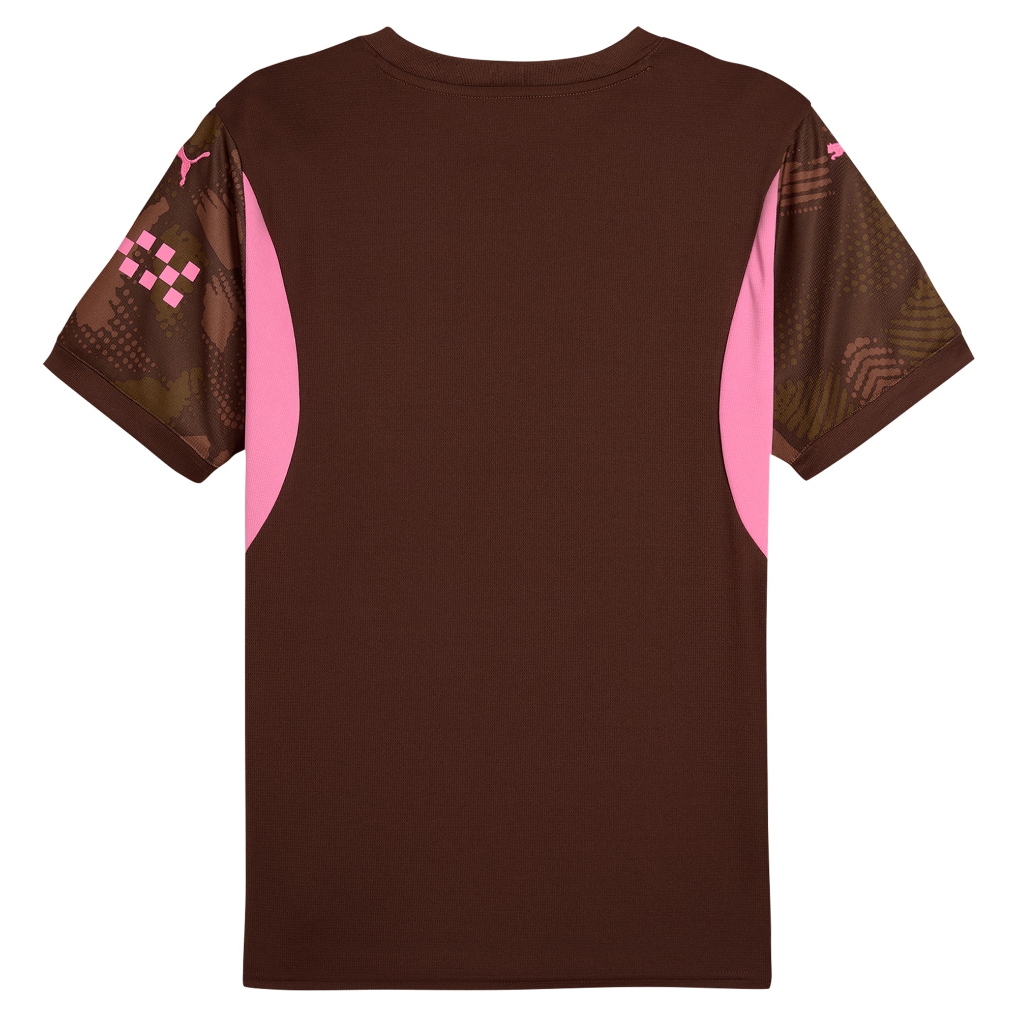 Manchester City Puma 2024/25 Short Sleeve Goalkeeper Jersey - Brown