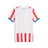 Official Paraguay National Team  2026 Home Replica Jersey - White - Jersey Teams World