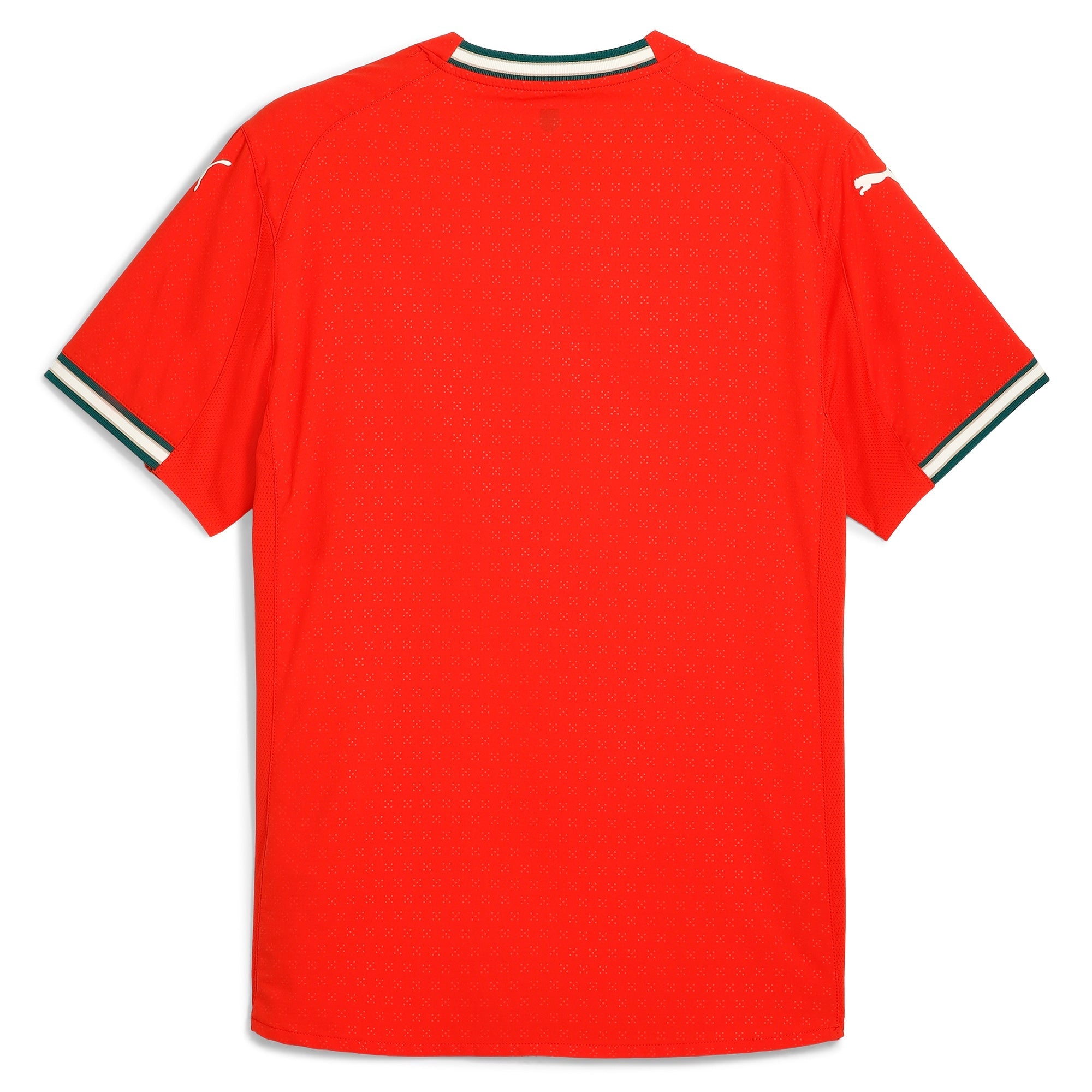 Back view of Puma Portugal 2025 home jersey in red with green and white trim on sleeves and collar